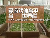 环境展示五