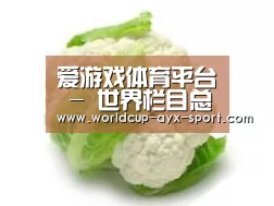 产品名称九