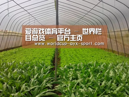 种植基地四