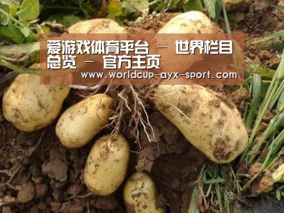 种植基地六