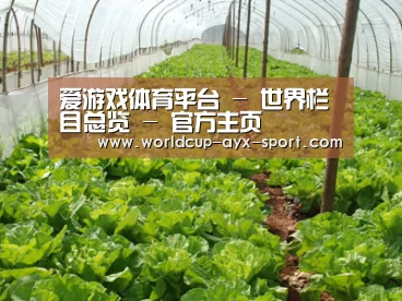 种植基地五