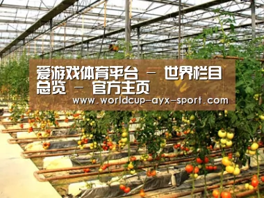 种植基地二