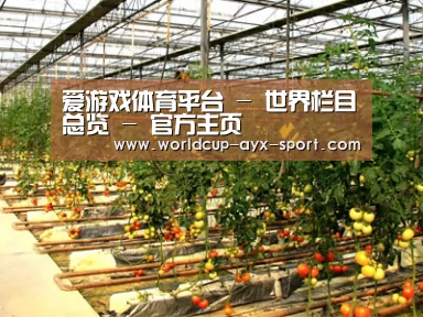 种植基地二(图1)