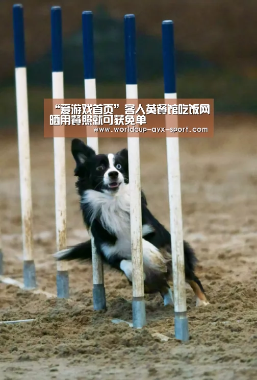 “爱游戏首页”客人英餐馆吃饭网晒用餐照就可获免单(图4) 爱游戏世界