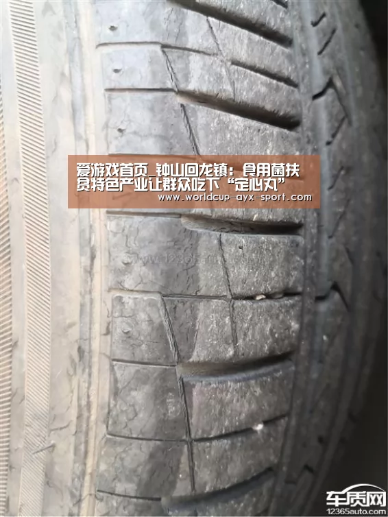 爱游戏首页_钟山回龙镇:食用菌扶贫特色产业让群众吃下“定心丸”(图2) 爱游戏首页