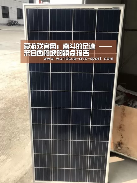 爱游戏官网:奋斗的足迹 ——来自西柏坡的蹲点报告(图2) 爱游戏世界