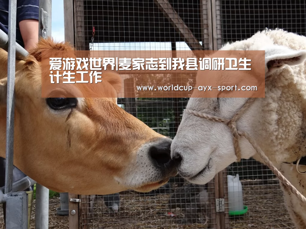 爱游戏世界|麦家志到我县调研卫生计生工作(图2) 爱游戏体育