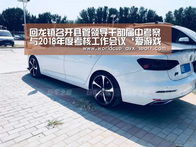 回龙镇召开县管领导干部届中考察与2018年度考核工作会议‘爱游戏官网’(图1) 爱游戏体育