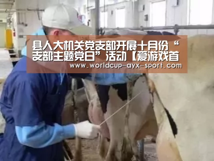 县人大机关党支部开展十月份“支部主题党日”活动【爱游戏首页】(图2) 爱游戏首页