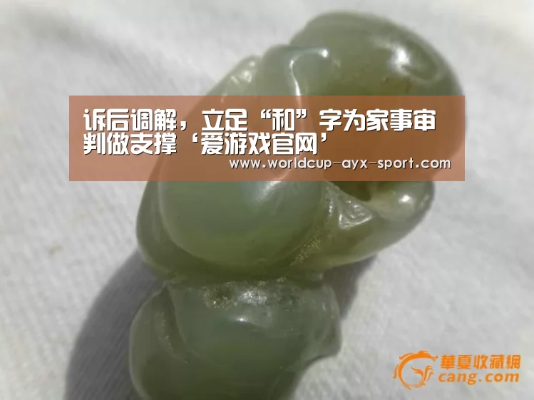 诉后调解,立足“和”字为家事审判做支撑‘爱游戏官网’(图2) 爱游戏世界
