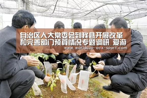 自治区人大常委会到我县开展改革和完善部门预算情况专题调研_爱游戏世界(图1) 爱游戏体育