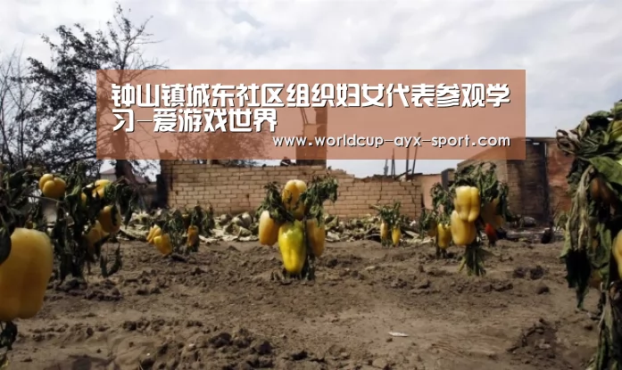 钟山镇城东社区组织妇女代表参观学习-爱游戏世界(图3) 爱游戏首页