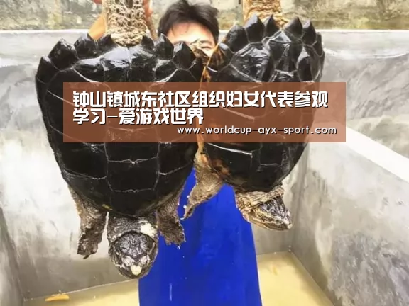 钟山镇城东社区组织妇女代表参观学习-爱游戏世界(图2) 爱游戏首页